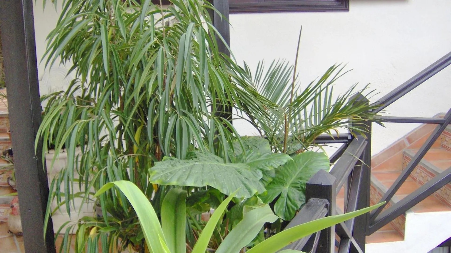דירה איקוד דה לוס וינוס Rustikale Ferienwohnung Mit Balkon Und Meerblick